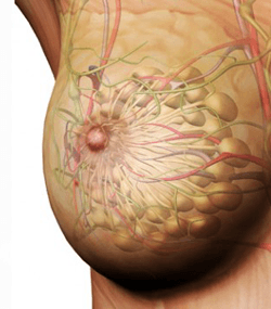 Initial product presentation image